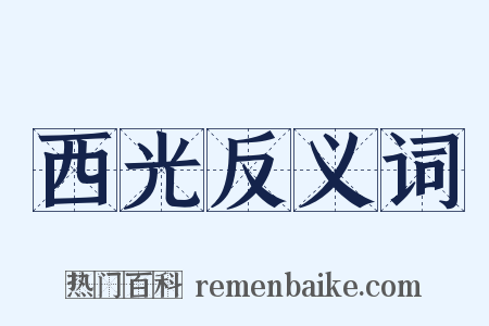西光反义词是什么意思的图片